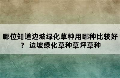 哪位知道边坡绿化草种用哪种比较好？ 边坡绿化草种草坪草种